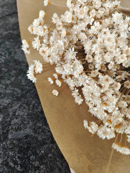 Bouquet de fleurs séchées - Felicia