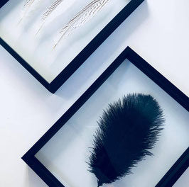 Cadre grande plume noire | Cadre L