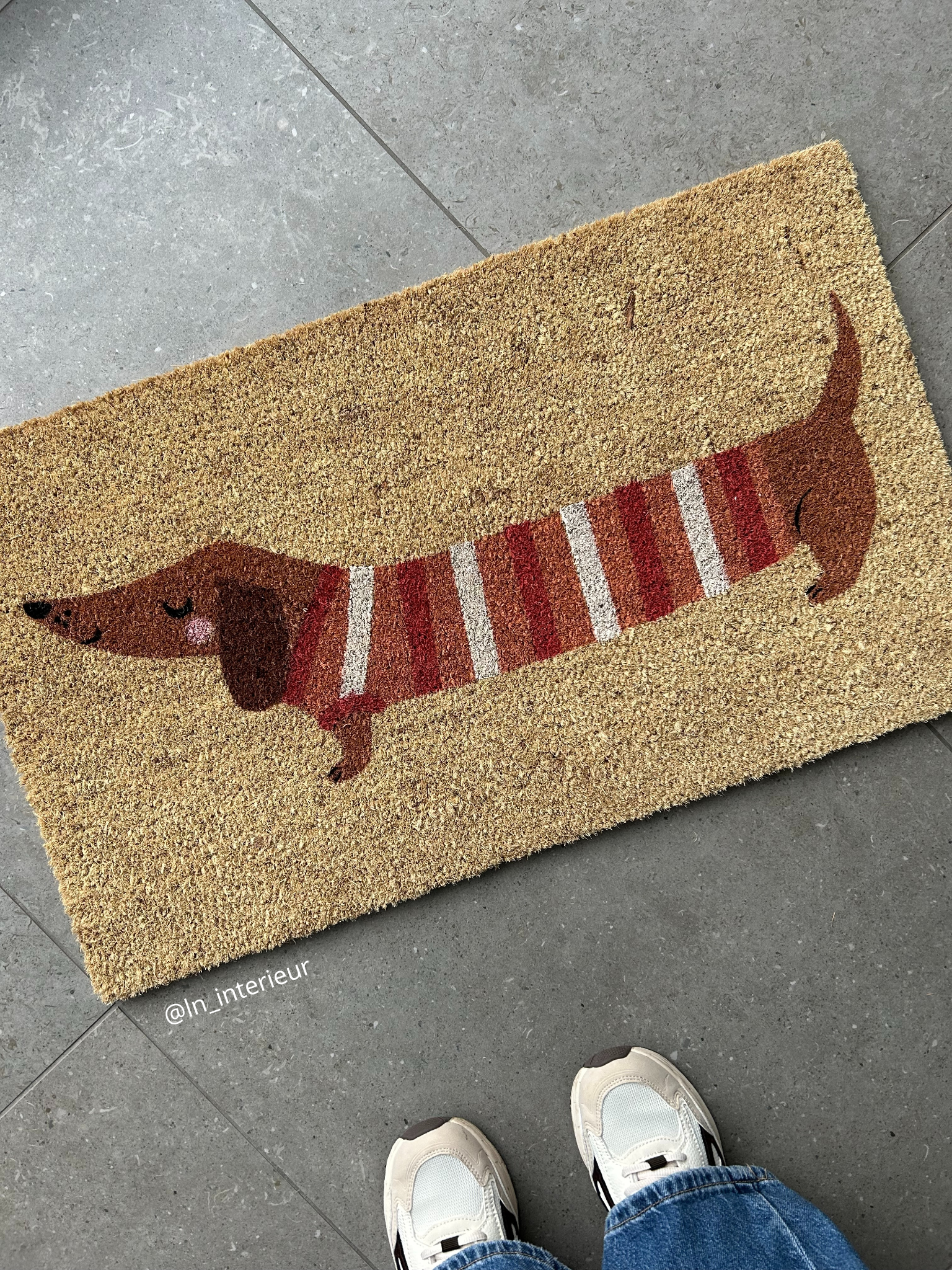 Paillasson avec un chien de race teckel coloré 