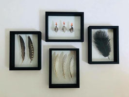 Grande plume noire | Cadre M