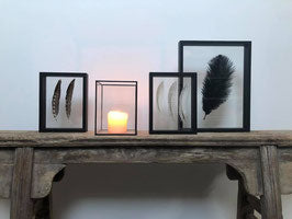 Cadre grande plume noire | Cadre L